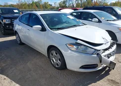 1C3CDFAA1ED677218: 43445044