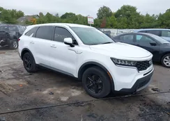 5XYRG4LC4MG021661: 43444381