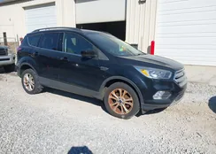 1FMCU0GD7JUA96337: 43445700