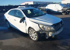 1G11D5SL5FF349151: 43446113