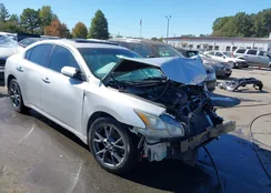 1N4AA5AP1CC837990: 43446803