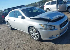 1N4AA5AP3EC481433: 43447062