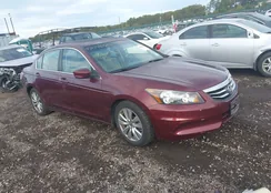 1HGCP2F87CA146042: 43446468