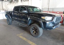 3TMDZ5BN5KM063639: 43447348