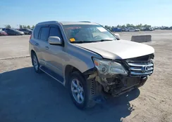 JTJJM7FX0A5016495: 43450670