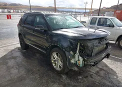 1FM5K8D80HGD74363: 43452059