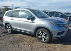 5FNYF6H50GB126987: 43451476