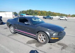 1ZVFT80NX75300411: 43453183