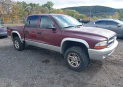 1D7HG48N43S134367: 43455942