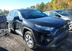 2T3F1RFV1RC455819: 43459920