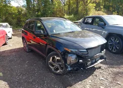 5NMJCCAE8NH144717: 43460798