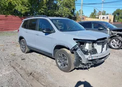 5FNYF8H67SB003801: 43460280