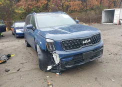 5XYP5DGC1RG504295: 43461887