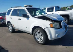 1FMCU4K36CKA15235: 43461448