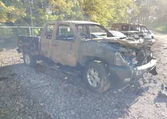 1GCEK29009Z295463: 43462318