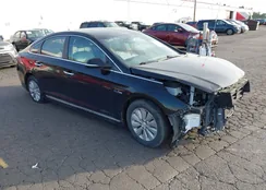 KMHE24L17GA024341: 43463834