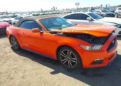 1FATP8UH4G5243109: 43465559