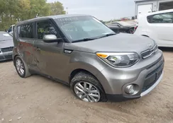 KNDJP3A51K7649781: 43468111