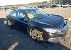 2HGFC1F33HH644058: 43469605