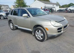 WP1AA29P54LA20373: 43470748