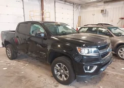 1GCGTDEN0K1136577: 43470978