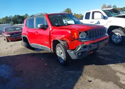 ZACCJBCT3GPD49766: 43471810