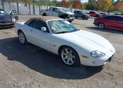 SAJJA42C9YNA03501: 43475710