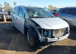 5FNRL5H29EB024663: 43476158