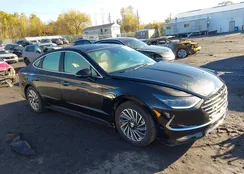 KMHL54JJ6PA058501: 43478705