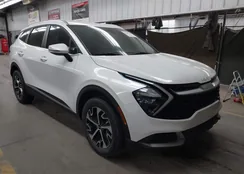 KNDPVCAG2P7013427: 43480205