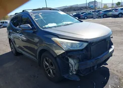 5XYZUDLB1EG166691: 43481613