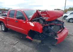 1D7RW3GK3BS585779: 43481213