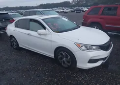 1HGCR2F75GA172131: 43483213