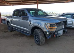 1FTFW3LD4RFA09030: 43486831