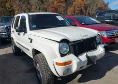 1J8GL58K82W214509: 43486944