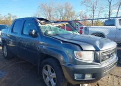 5FPYK1F55AB007509: 43488226