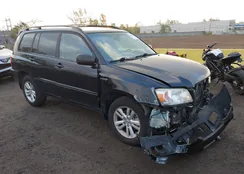 JTEEW21AX60021823: 43489565