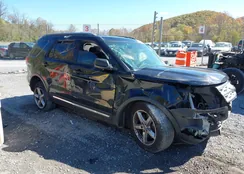 1FM5K7D88KGA36209: 43489734