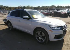 WA1CNAFY3K2033576: 43491806