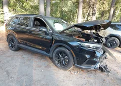 5J6RS6H83RL025687: 43491057