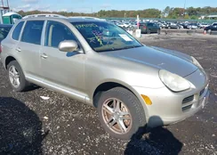 WP1AB29P66LA66228: 43491342