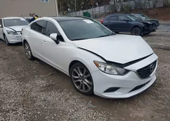 JM1GJ1V65E1160424: 43493868