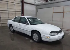 2G1WL52M9X1104251: 43493951