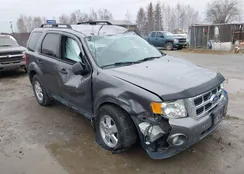 1FMCU9D77BKB99242: 43495805