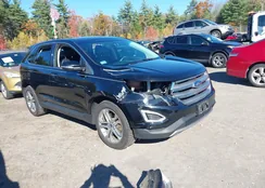 2FMPK4K9XGBB83164: 43495152