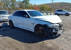 WBS3U9C59GP969285: 43495300