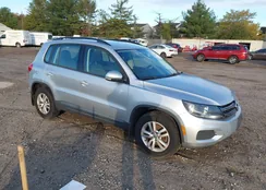 WVGBV7AXXFW547258: 43497529