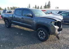 3TMDZ5BNXHM035778: 43497597