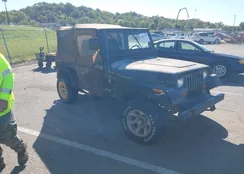 1J4FY19P2RP438316: 43497863