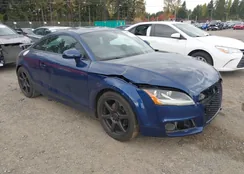 TRUBFAFKXB1012326: 43497970